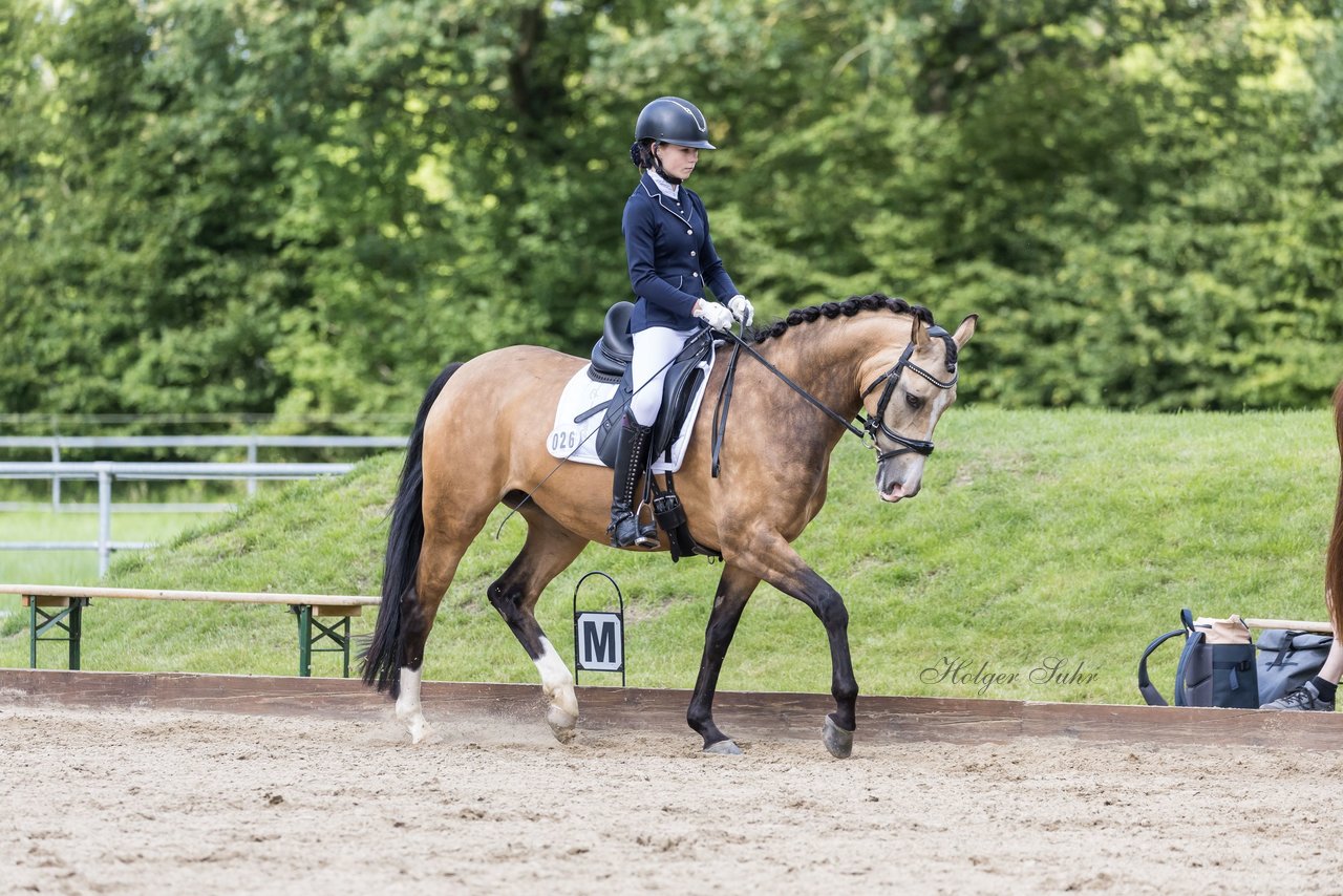 Bild 391 - Pony Akademie Turnier